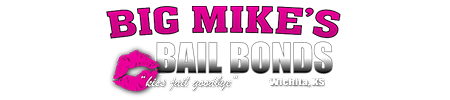 Big Mikes Bail Bonds Logo